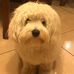 Profile Picture of Barbara Scala (@barbara.scala.545) on Facebook
