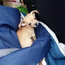 Profile Picture of Peter LaPin (@LapinPetensue05) on Twitter