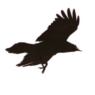Profile Picture of Derek Canning (@artfulscavenger) on Twitter