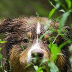 Profile Picture of Michel Stelter (@michelst999) on Instagram