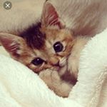 Profile Picture of gisel rivera (@gisel8632) on Instagram