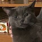 Profile Picture of Mads🌞 (@madelinegreersmith) on Instagram