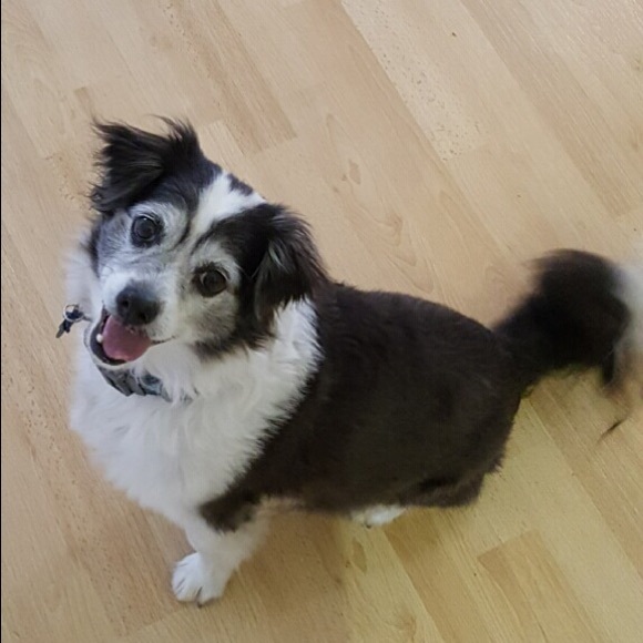 Profile Picture of Scott Rezendes (@sarezend) on Poshmark