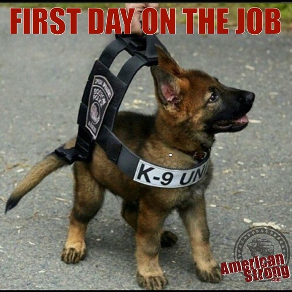 Josh Mcclelland - Poshmark Profile Picture of Josh Mcclelland (@joshmcclelland1) on Poshmark