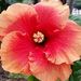 Profile Picture of Beth Pfaff (@bethp1615) on Pinterest