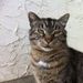 Profile Picture of David Andreae (@dandreae) on Pinterest