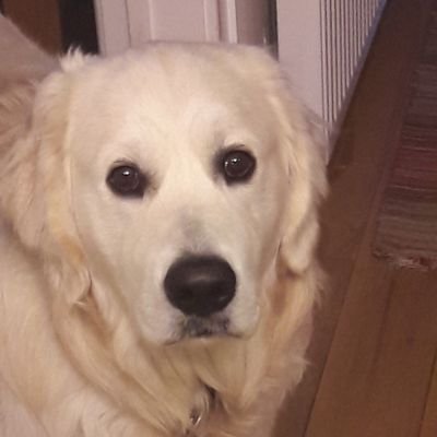 Profile Picture of Paul Broadhurst (@Broady2839) on Twitter