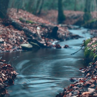 Patrick Kluge - Twitter Profile Picture of Patrick Kluge (@PK93Photography) on Twitter