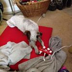 Profile Picture of Jasmine Lynne Wanderer (@jasminelynnewanderer) on Instagram