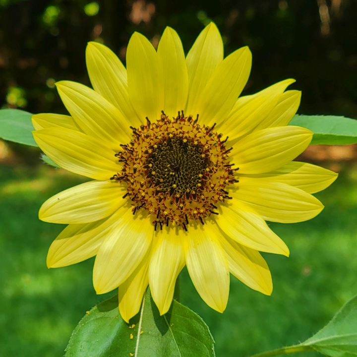 Profile Picture of Kathy Zappa (@@kathyzappa) on Tiktok