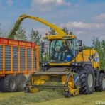 Profile Picture of Wouter van der Meer (@wouter.vandermeer.980) on Facebook