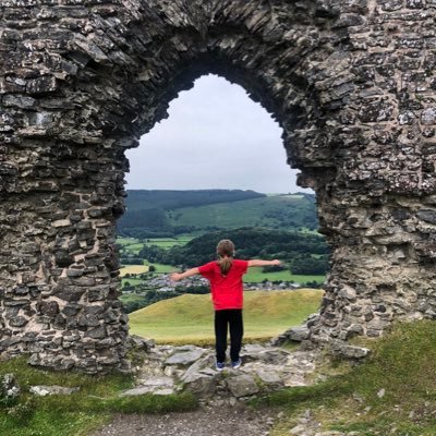 Profile Picture of Suzanne Evans (@LlanSue) on Twitter