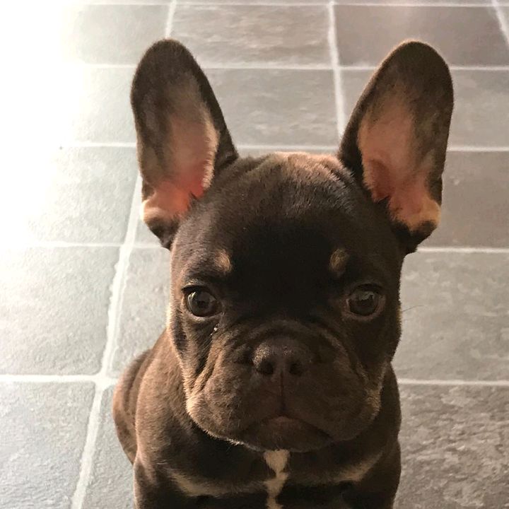 Profile Picture of bethbarker (@bethanybar_ker) on Tiktok