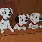 Profile Picture of sangho_kim (@__________todd943) on Instagram