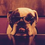 Profile Picture of Julia Reichardt (@fraureichardt) on Instagram