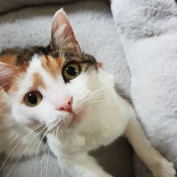 Profile Picture of Stephen Davis (@stephen-davis-51) on Quora