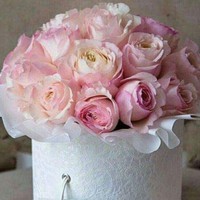 Profile Picture of Jeffery Bradley (@jeffery-bradley-10) on Quora