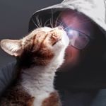 Profile Picture of Joe Lutz (@its_a_shame_about_joe) on Instagram