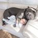 Profile Picture of Andrew Busa (@andrew.busa.904) on Facebook