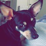 Profile Picture of max (@max.walterwilliams) on Instagram