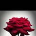 Profile Picture of Mark Buban (@Mark-Buban) on Facebook