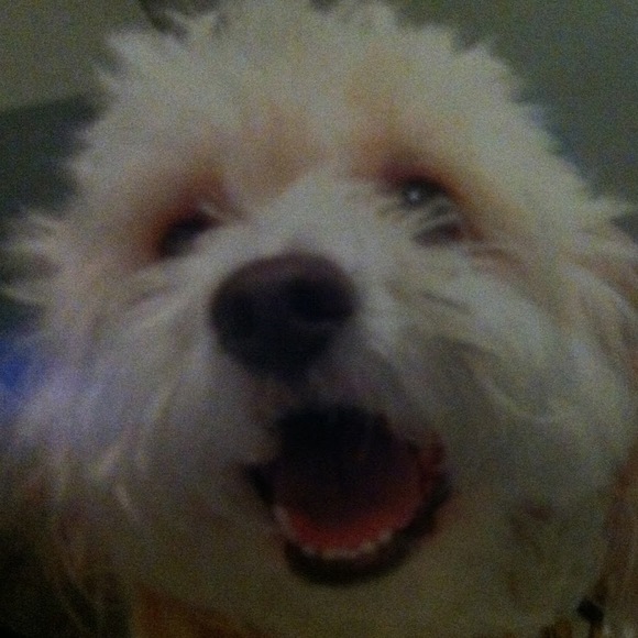 Kerry Nahas - Poshmark Profile Picture of Kerry Nahas (@nahask) on Poshmark