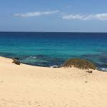 Martin Zwicky - Instagram Profile Picture of Martin Zwicky (@martinzwicky) on Instagram