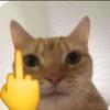 Profile Picture of Amarka | COMMS OPEN (@amark.a) on Tiktok