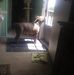 Profile Picture of James Tabor (@james.tabor.79462) on Facebook