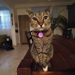 Profile Picture of Mike Evers (@megareporter) on Instagram