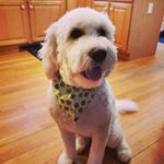 Profile Picture of Stephen Rodman (@stephen.rodman) on Instagram