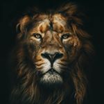 Jose_Cancio - Instagram Profile Picture of Jose_Cancio (@jose_cancio_03) on Instagram