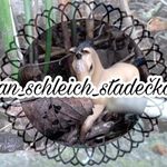 Profile Picture of jsme schleichfamily (@fan_schleich_stadecko) on Instagram