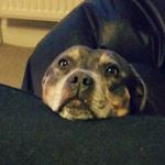 Profile Picture of Lloyd Walls (@lloydwalls) on Instagram