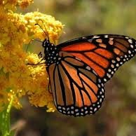 Profile Picture of Madeline Luciano (@madelinelucian1) on Twitter