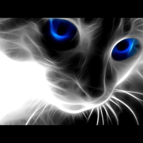 Profile Picture of Karolen Sahyoun (@karolensahyoun) on Poshmark