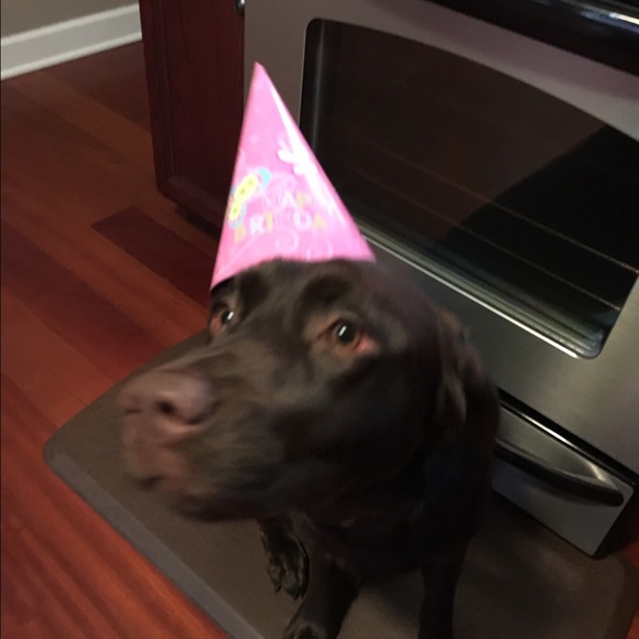 Profile Picture of Amanda Marketti (@aschergen81) on Poshmark