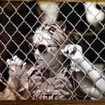 Profile Picture of Jason Tolbert (@tolbert6260) on Instagram