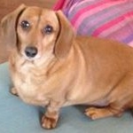 Profile Picture of Douglas Conley (@douglasconley) on Instagram