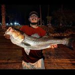 Profile Picture of Ken Anthony (@desertswimbaiting) on Instagram