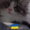 Profile Picture of Catherine Mattos (@catherine.mattos.16) on Facebook
