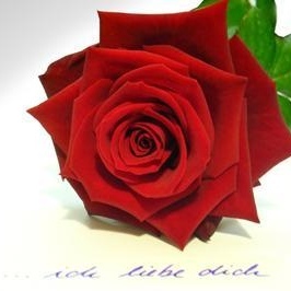 Profile Picture of Julia Hinz (@386477444) on Myspace