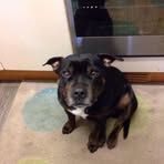 Profile Picture of Carroll Alkins (@carroll.alkins) on Facebook