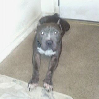 Profile Picture of Allan Dubey (@Allan-Dubey) on Facebook