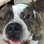 Profile Picture of Calvin W Hanks (@calvinwhanks) on Instagram