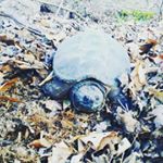 Profile Picture of Jared Crooks (@lil_crooks7) on Instagram