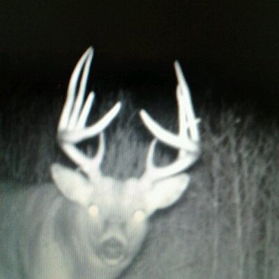 Profile Picture of Jay Wemhoff (@JayJjwemhoff) on Twitter