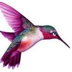 Profile Picture of Dawn Torkelson Newlon Arispe (@torkelsonnewlonarispe) on Instagram