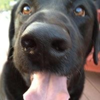 Profile Picture of Aaron Lessing (@aaron-lessing-1) on Quora