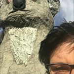 Profile Picture of Lyn Edwards (@lyn.edwards.7549) on Instagram